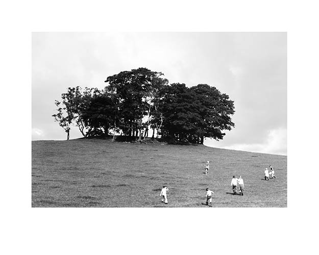 On a high hillside